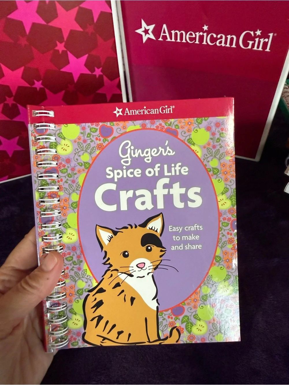 American Girl ⭐️ Classic Story Books / Craft Books